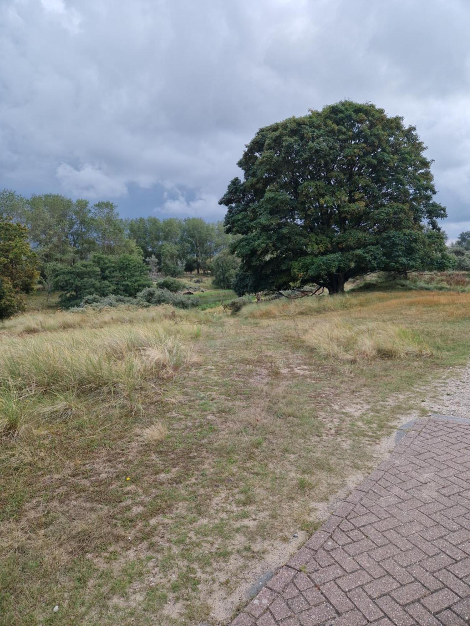 Duin-Vliet Bentveld Exterior foto